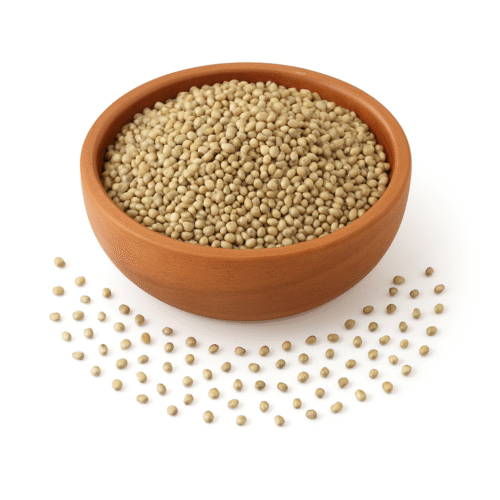 PEARL MILLET / NAATU KAMBU